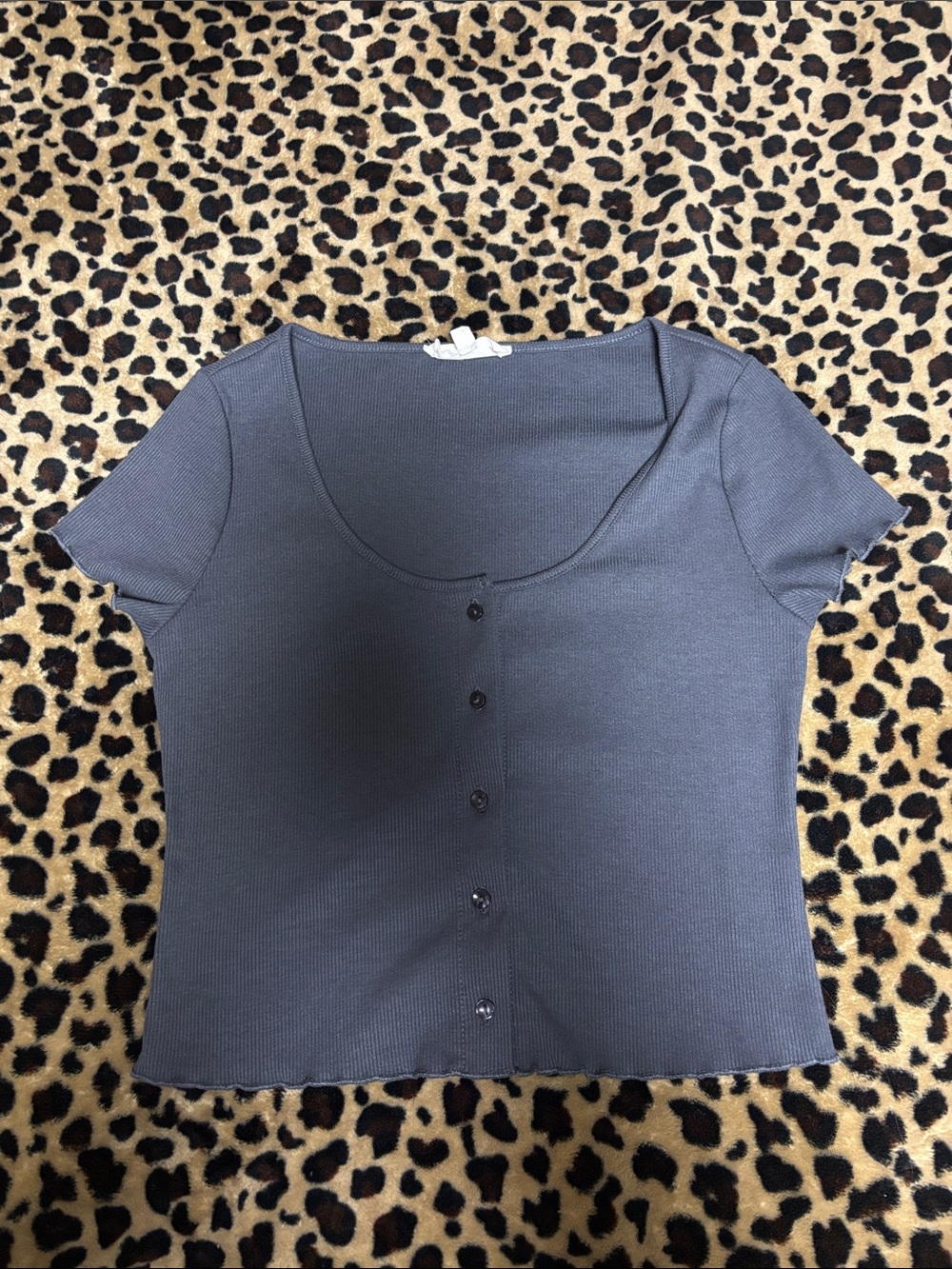 Women's Short Sleeve Button-Front Scoop Neck Top - Blue